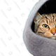 Image for article titled Shop End-of-Summer Closeout Sales at Amazon